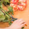 Stock Photo Of Woman's Hands Holding Gardener Scissors