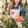 Flowers In Woman's Hands Stock Photo
