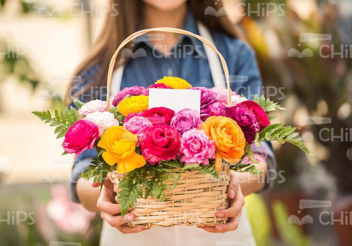 Basket Of Flowers In Woman's Hands Stock Photo