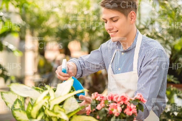 Happy Guy Sprays Flowers Stock Photo