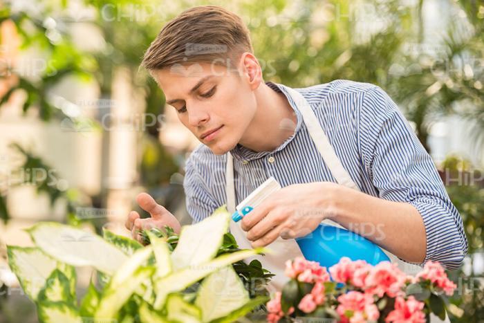 Young Man Working In Garden Stock Photo