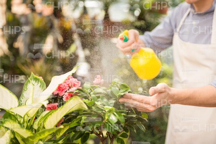 Man Working With Atomizer Stock Photo