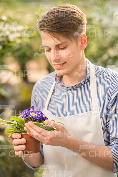 Handsome Man Holds Plant Stock Photo