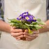 Plant In Man's Hands Stock Photo