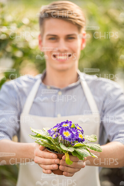 Gardener Holding Small Plant Stock Photo