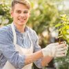 Man Holding Plant Pot Stock Photo
