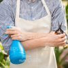 Atomizer And Scissors In Gardener's Hands Stock Photo