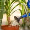 Watering Garden Plants Stock Photo