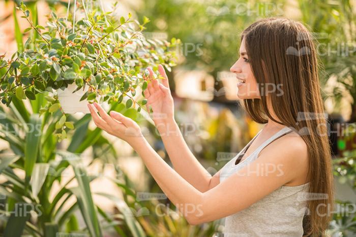 Young Woman Looking On Plant In The Garden Stock Photo