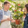 Gardener Presenting Plant To Client Stock Photo