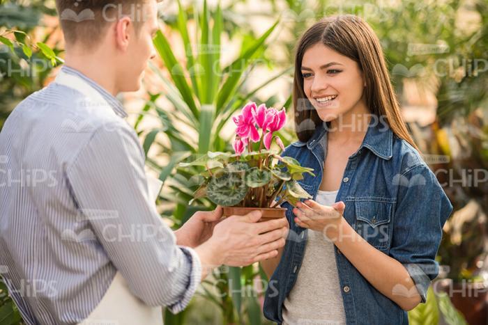 Gardener Gives Plants To Buyer Stock Photo
