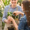 Friendly Gardeners Working With Plant Stock Photo