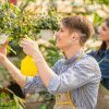 Young Man Spraying Plants Stock Photo