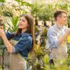 Two Workers Spraying Plants In Garden Stock Photo
