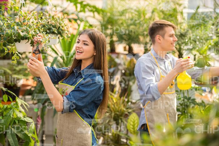 Two Workers Spraying Plants In Garden Stock Photo