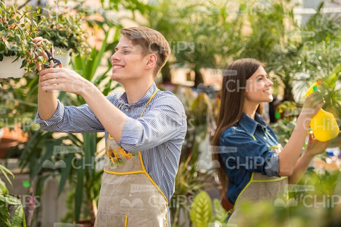 Handsome Gardeners Using Pulverizers Stock Photo