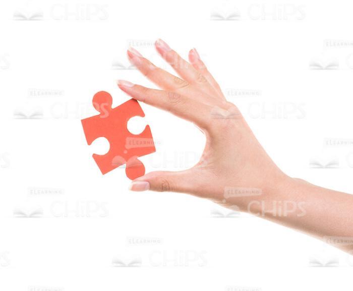 Woman's Hand With Jigsaw Puzzle Stock Photo