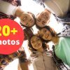 Young People Studying Outdoors Stock Photo Pack-0