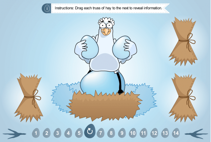 Drag and Drop Interaction — e-Learning Storyline Template