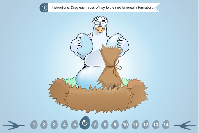 Drag and Drop Interaction — eLearning Storyline Course Player