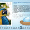 Text Image Slide — Storyline eLearning Template