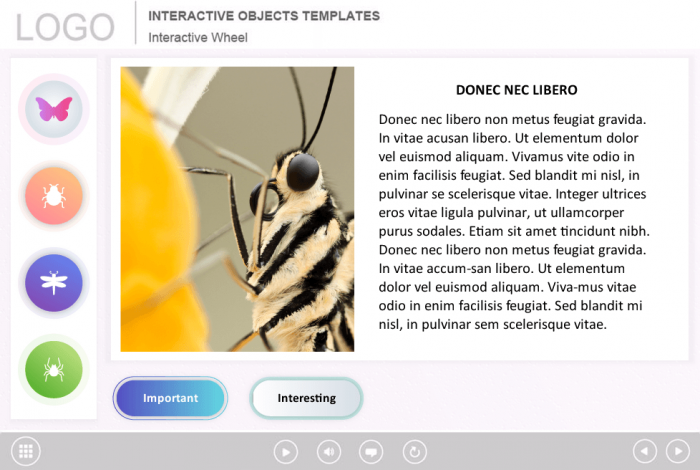 Course Information — eLearning Templates for Articulate Storyline