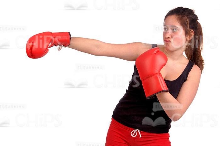 Young Teenager Boxing Stock Photo Pack-30179