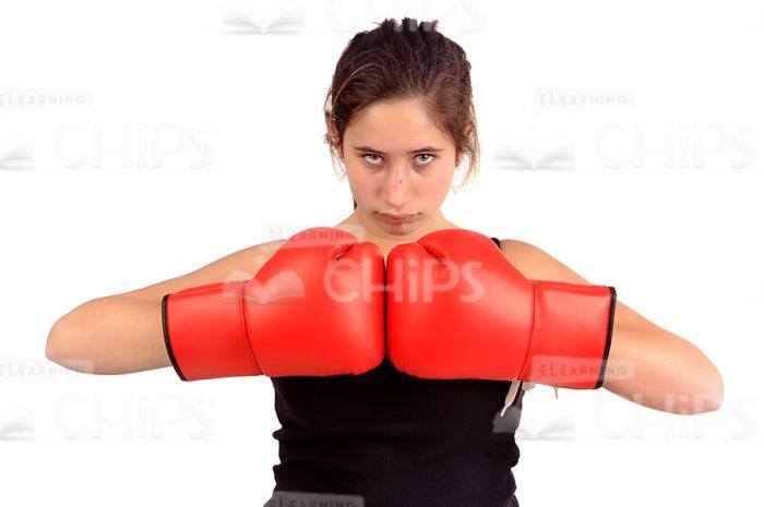 Young Teenager Boxing Stock Photo Pack-30181