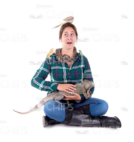 Young Woman With Exotic Animals Stock Photo Pack-30191