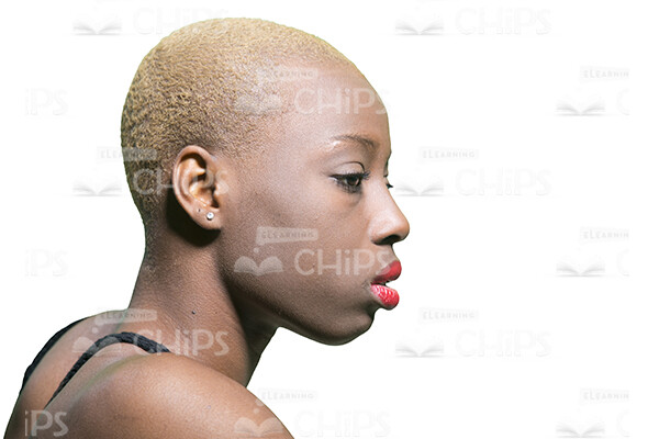 Attractive African Young Woman Stock Photo Pack-31111