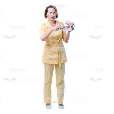 Cutout Picture Of Female Dentist Holding Toothbrush And Jaw Model-0