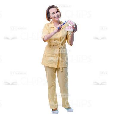 Happy Female Dentist With Toothbrush And Dental Jaw Model Cutout-0