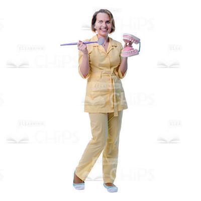 Friendly Dentist With Dental Mirror And Jaw Model Cutout Photo-0