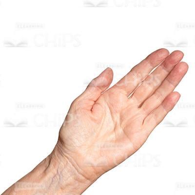 Close Cutout Photo Of Aged Female Hand-0