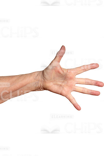 Female Hand With Spread Fingers Cutout Image-0