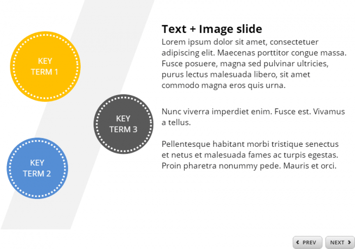 Text + Image Slide — Storyline 360 Template for eLearning Courses