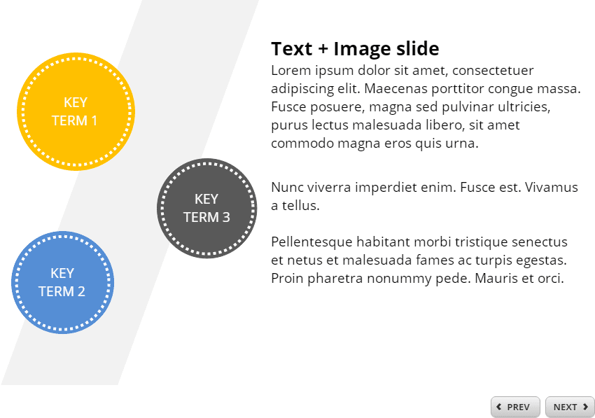 Text + Image Slide — Storyline 360 Template for eLearning Courses Text + Image Slide — Storyline 360 Template for eLearning Courses