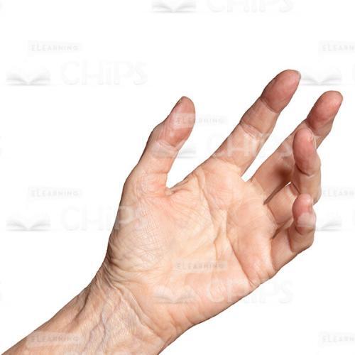 Female Hand Close Up Cutout Photo-0