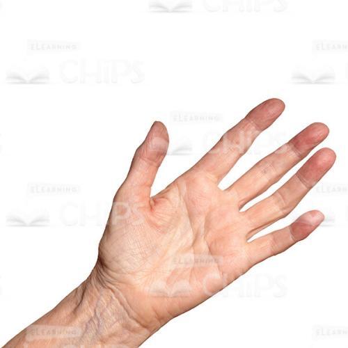Cutout Image Of Aged Woman's Hand Close Up-0