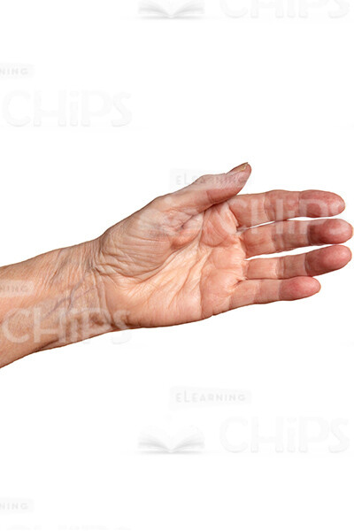 Close Up Cutout Picture Of Aged Female Hand-0
