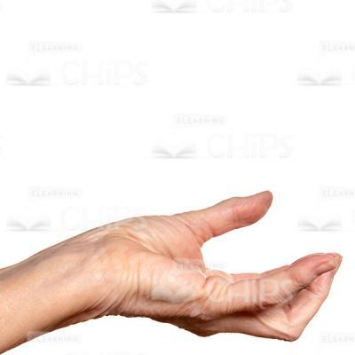 Cutout Photo Of Open Wrinkled Hand Asking For Alms-0