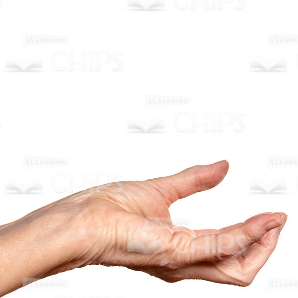 Cutout Photo Of Open Wrinkled Hand Asking For Alms-0 Cutout Photo Of Open Wrinkled Hand Asking For Alms-0