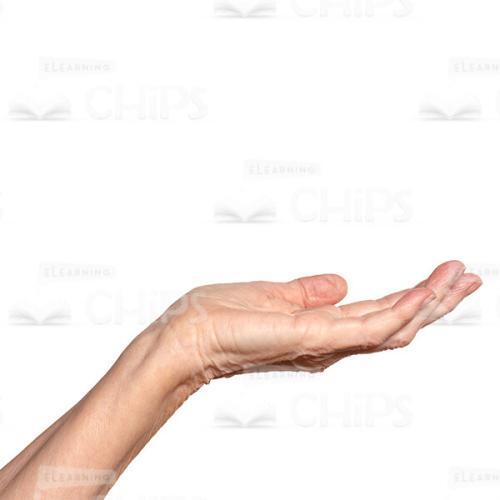 Open Wrinkled Hand Close Up Cutout Photo-0