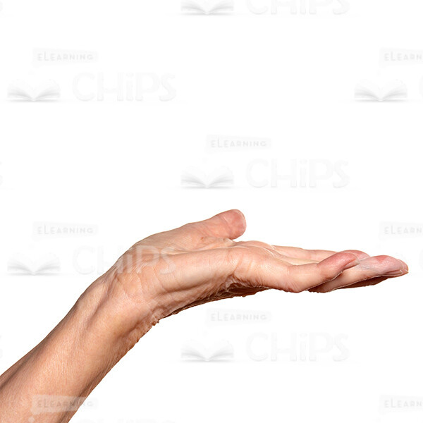 Cutout Wrinkled Hand Requests For Alms Close Up Photo-0 Cutout Wrinkled Hand Requests For Alms Close Up Photo-0