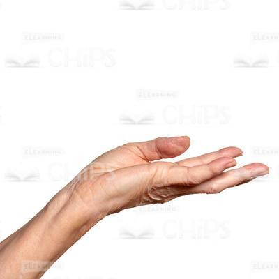 Wrinkled Hand Ready To Receive Alms Cutout Picture-0