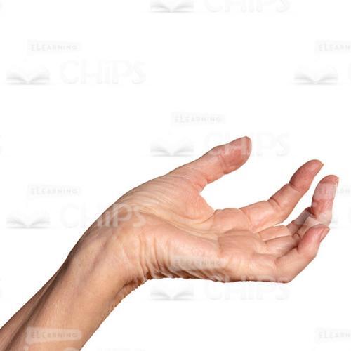 Open Wrinkled Hand Asks For Alms Gesture Cutout Picture-0