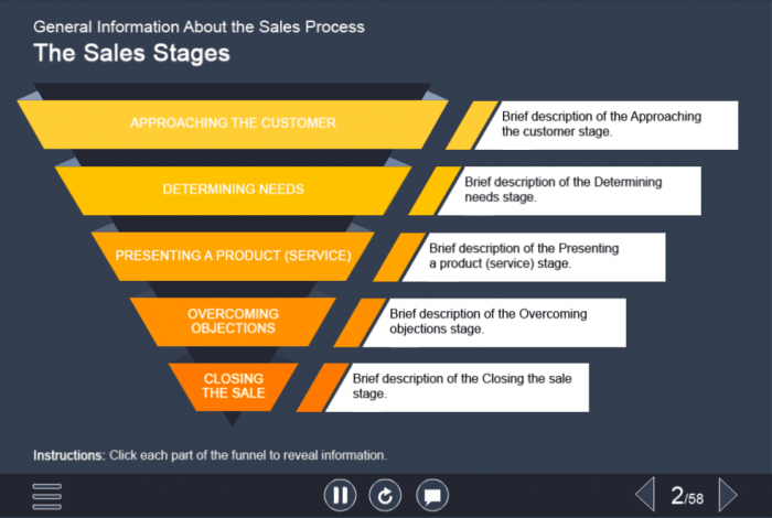 5-staged Pyramid — Captivate Template for eLearning