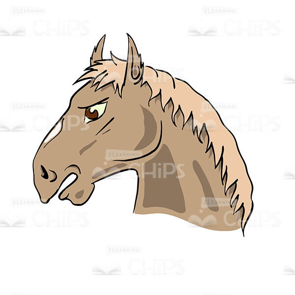 Horse's Head Profile View Vector Image-0 Horse's Head Profile View Vector Image-0