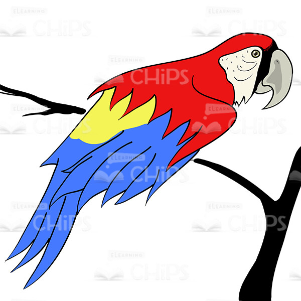 Parrot Ara Macaw Sitting On Tree Branch Vector Image-0