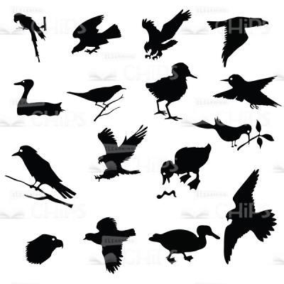 Set Of Black Birds Silhouettes Vector Image-0